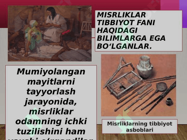 Qadimgi Misrning ijtimoy tizimi 4