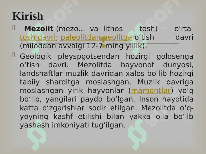 Mezolit davri xoʻjaligi va moddiy madaniyati 24 3