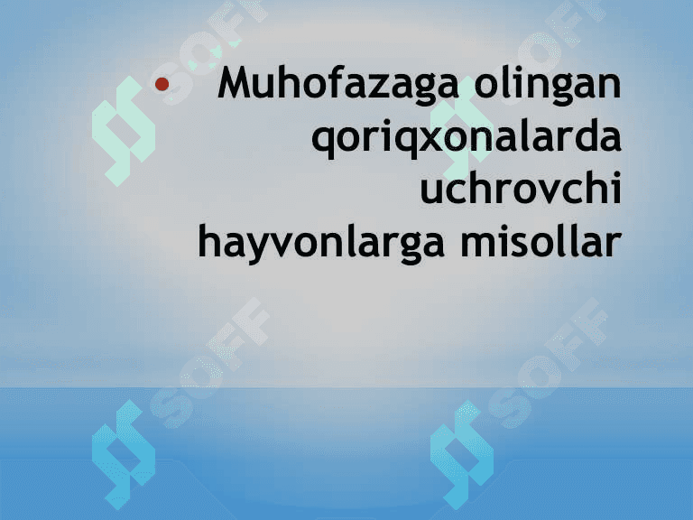 O'zbekiston qo'riqxonalari 8