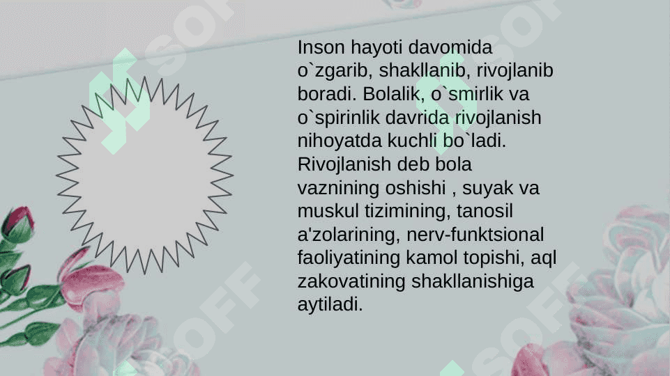 BOLANING SOTSIUMDA RIVOANISHI 5