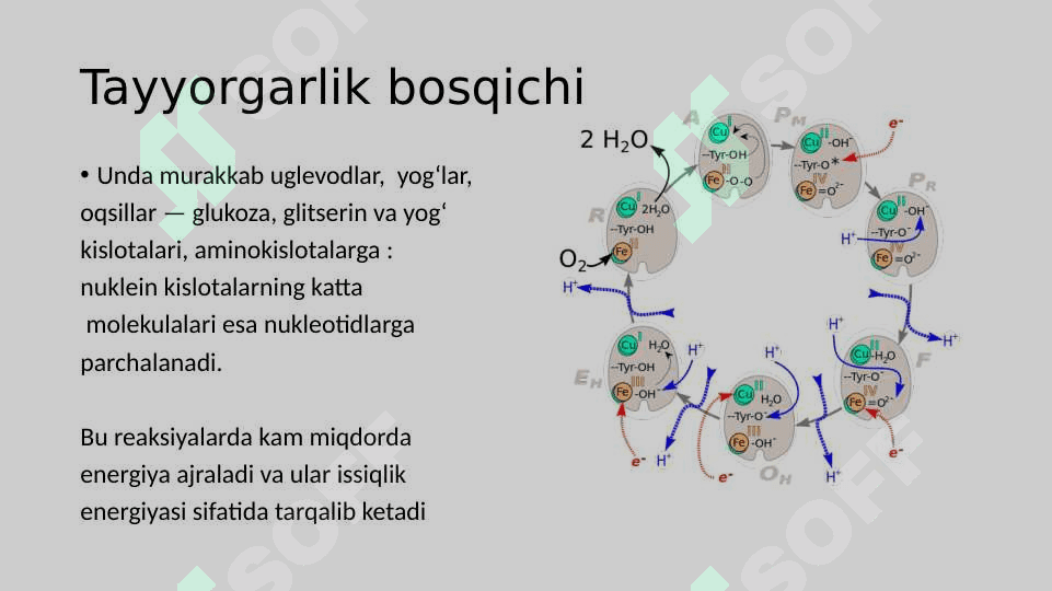 ENERGIYA ALMASHINUVI BOSQICHLARI 2