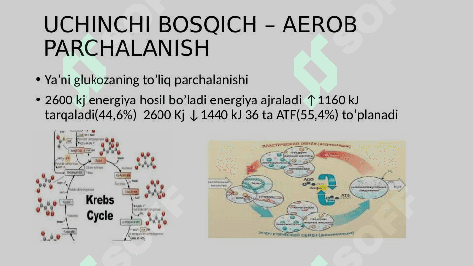 ENERGIYA ALMASHINUVI BOSQICHLARI 4