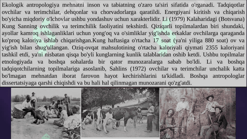 Etnologiyada ekologik yo'nalish 4