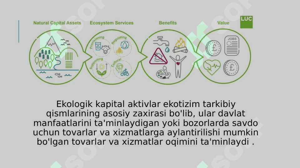 Atrof muhit va iqtisodiyot 6