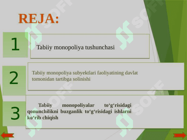 Tabiiy monopoliyalani huquqiy tartibga solish 2
