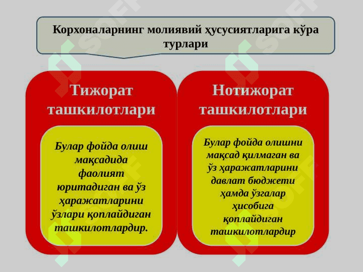 МОЛИЯ ТИЗИМИ ВА МОЛИЯВИЙ СИЁСАТ 6