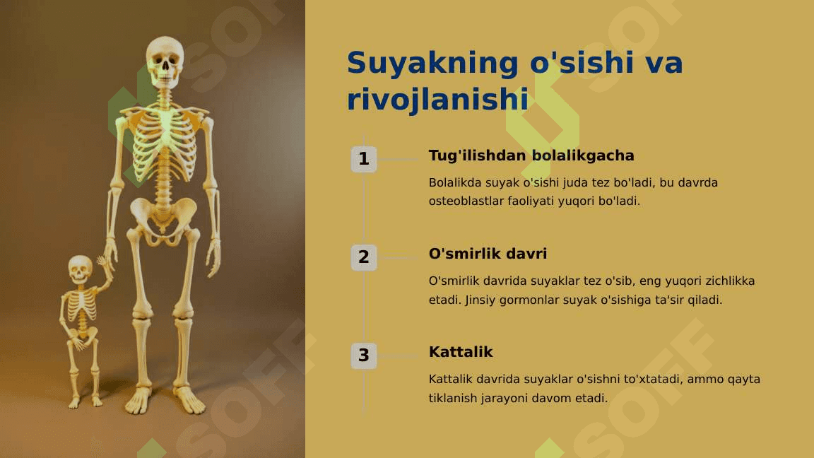Suyak o'sishida turmush tarzining va tashqi omillarning ta'siri 4