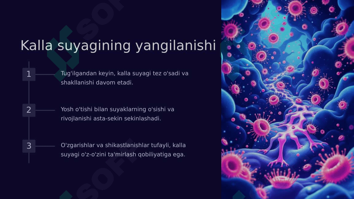 Kalla suyagi Yoshga va jinsiy xususiyatlari 5