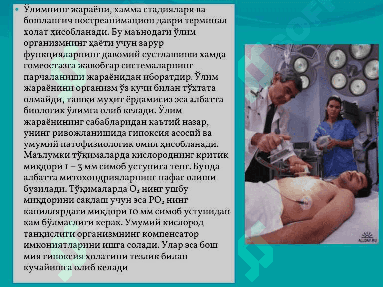 Терминал холатлар 3