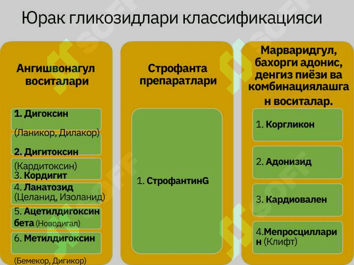 Юрак гликозидлари 4