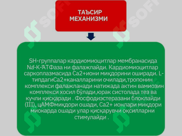 Юрак гликозидлари 7