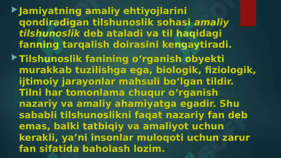 Tilshunoslik masalarini o'rganishda ichki integratsiya 4