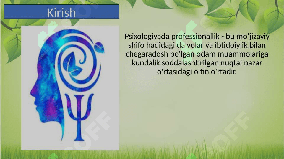 professionalizm tamoyili.pptx 2