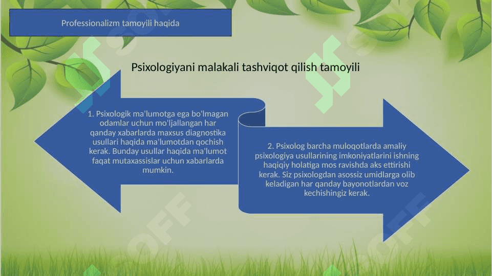 professionalizm tamoyili.pptx 3