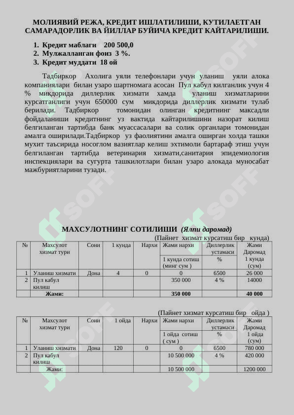 Paynet Xizmat koʻrsatish biznes rejasi 3