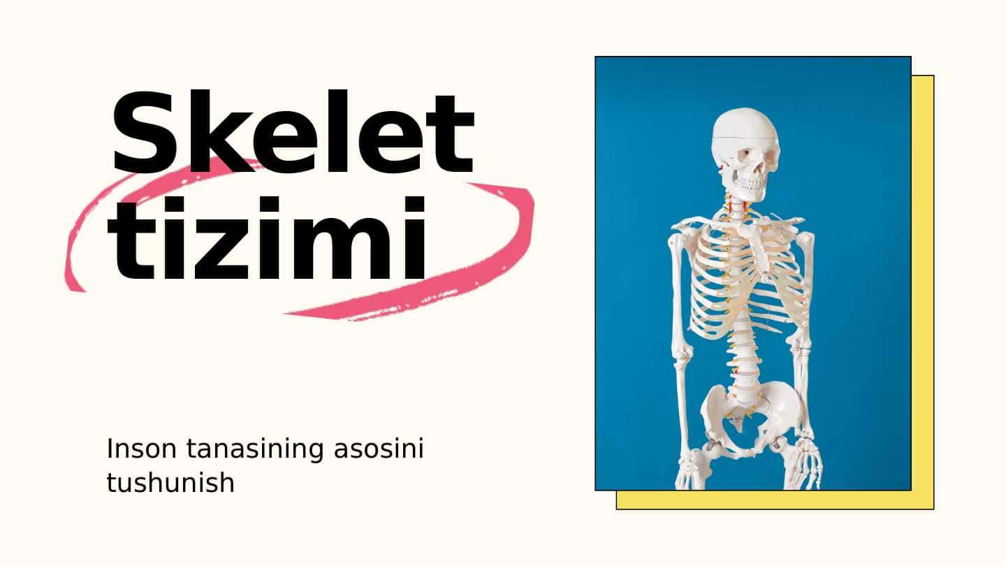 Skelet tizimi