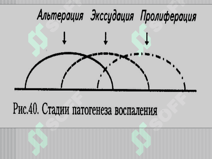 ЯЛЛИГЛАНИШ . Yallig`lanish patofiziologiyasi 5