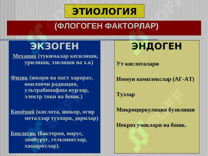 ЯЛЛИГЛАНИШ . Yallig`lanish patofiziologiyasi 7