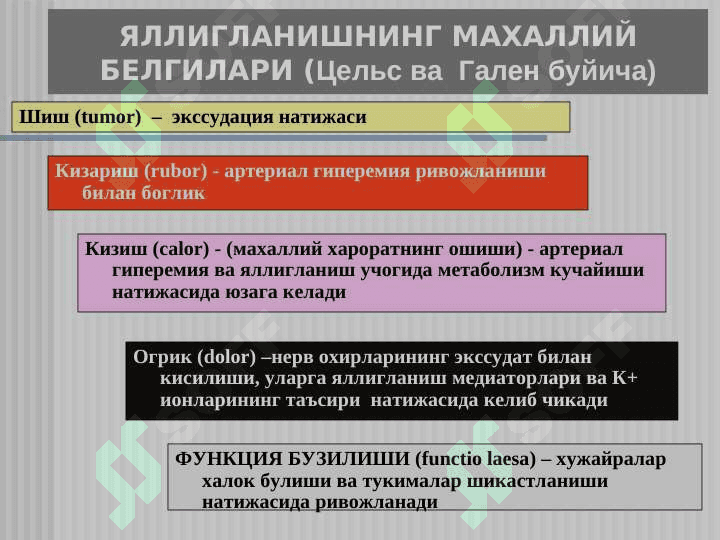 ЯЛЛИГЛАНИШ . Yallig`lanish patofiziologiyasi 8