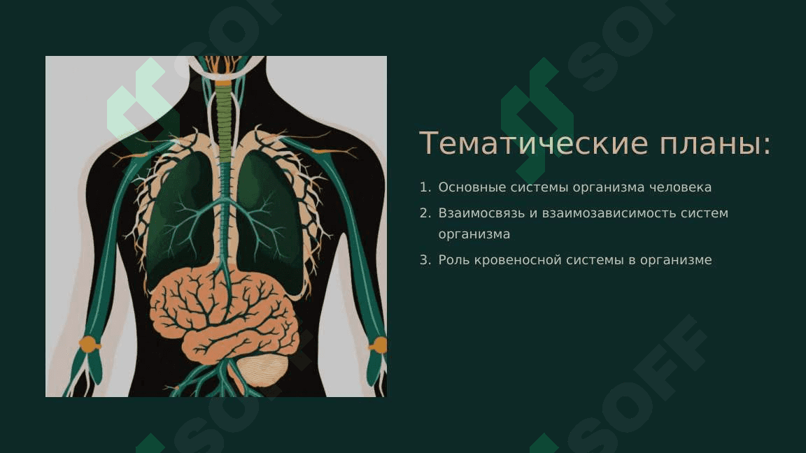 Организм человека – целостная система 2