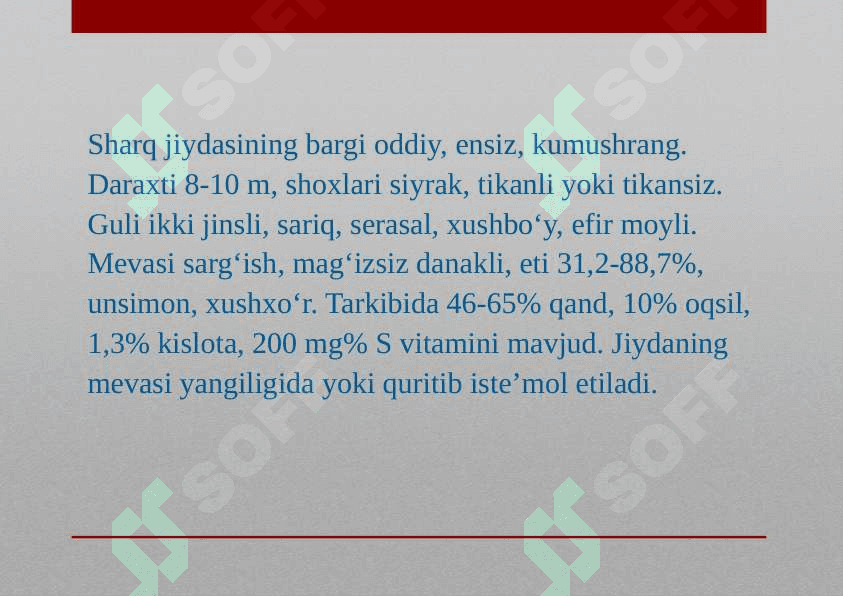 Jiydanamolar oilasi 5