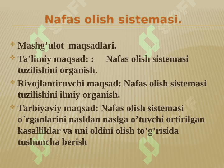 Nafas  olish  sistemasi 2