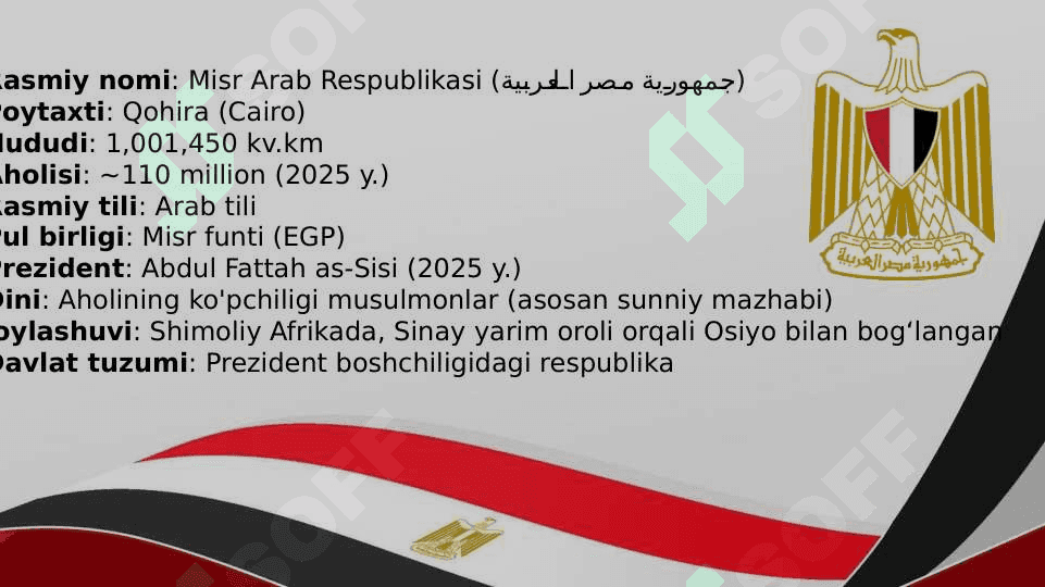 Misr Arab Respublikasi 4