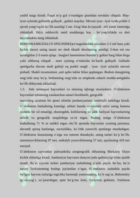 O'ZBEKISTONNING TOG',CHO'L, DASHTLARIDA  O'SADIGAN O'SIMLIKLAR 7