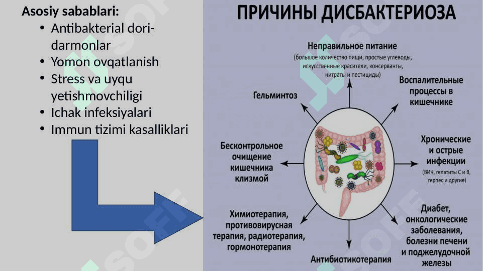 Disbakterioz va disbakteriozning zamonaviy bakteriologik diagnostikasi 4