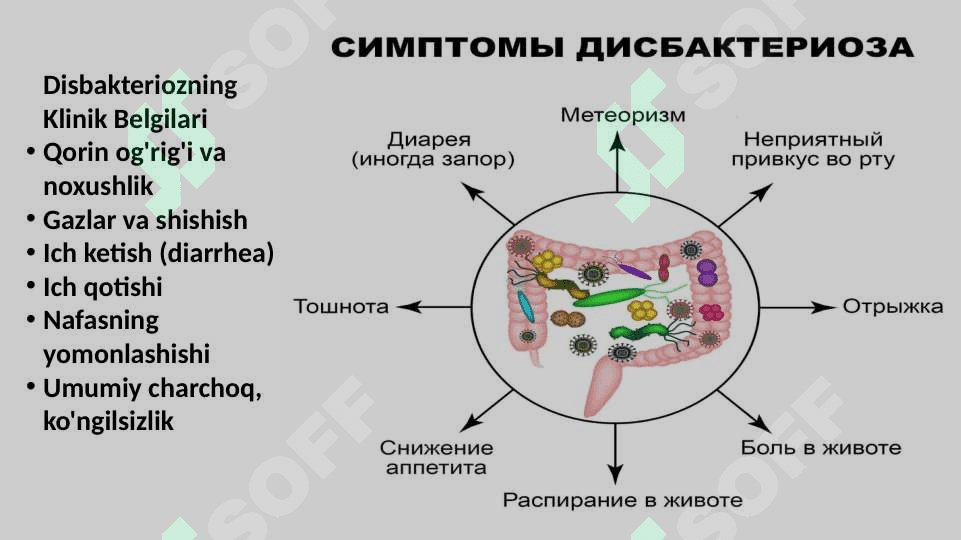 Disbakterioz va disbakteriozning zamonaviy bakteriologik diagnostikasi 5