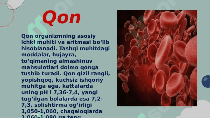 Qon biokimyosi 4
