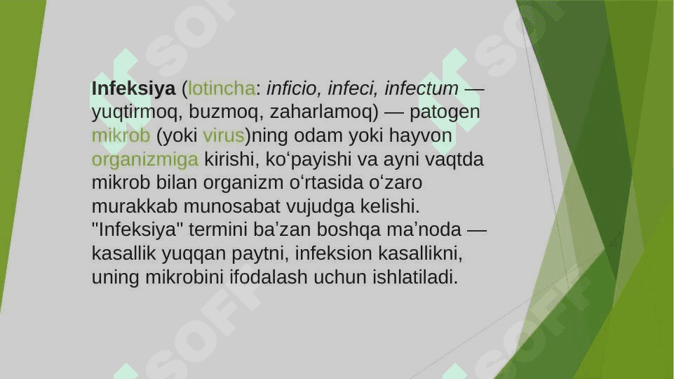 slayd 2