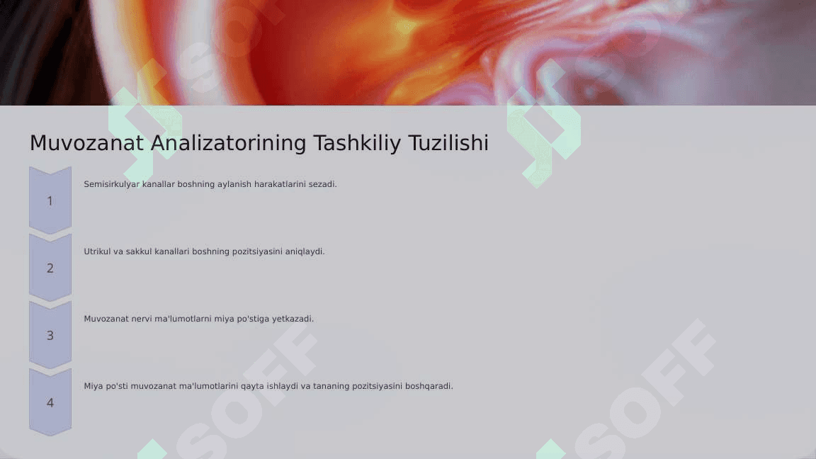 Ichki quloq eshituv va muvozanat analizatorlarini o'tkazuv yo'li 6