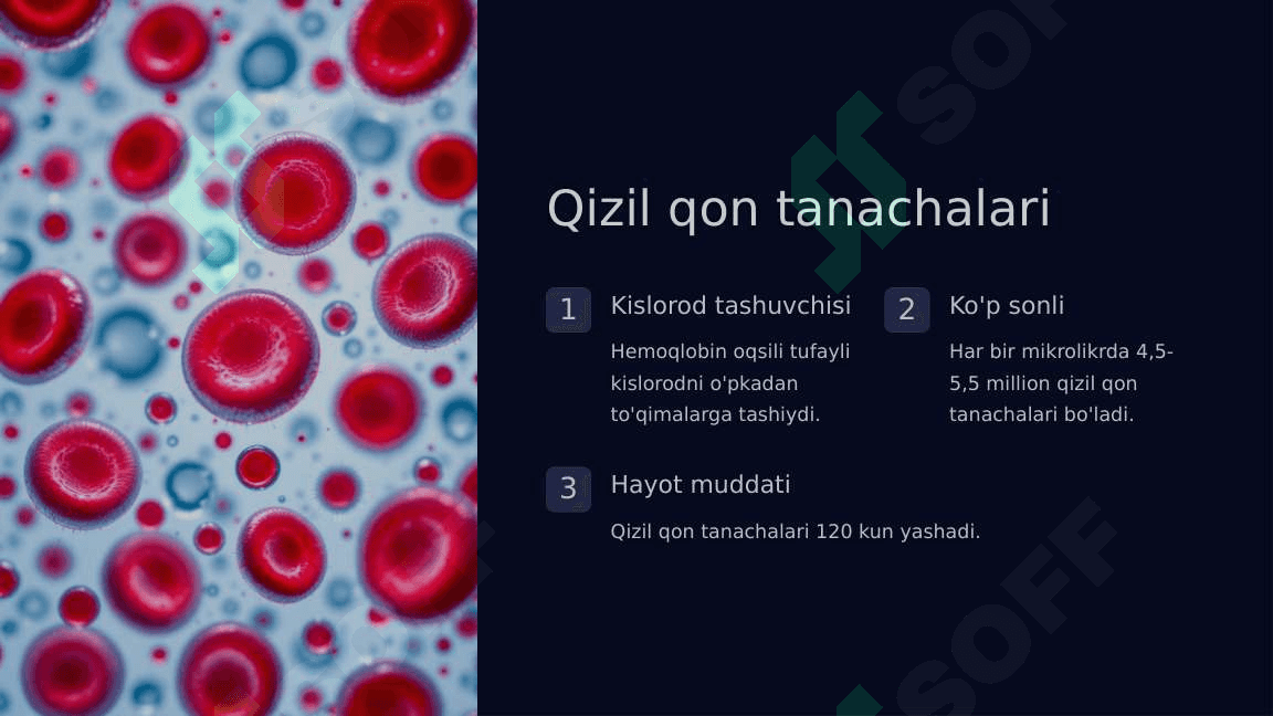 Qon biokimyosi 5