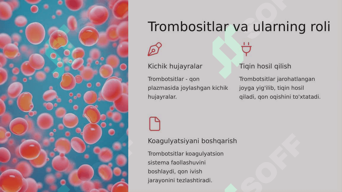 Qon ivish jarayonlarini o'rganish qon tomir trombasitor gemositoz, koagulyatsion gemostoz 6