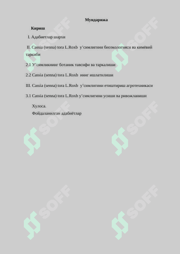 Тумток баргли (Cassia (senna) tora L.Roxb) санонинг етиштириш агротехникаси 2