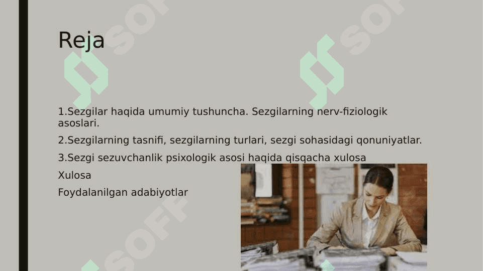 Sezgi 3