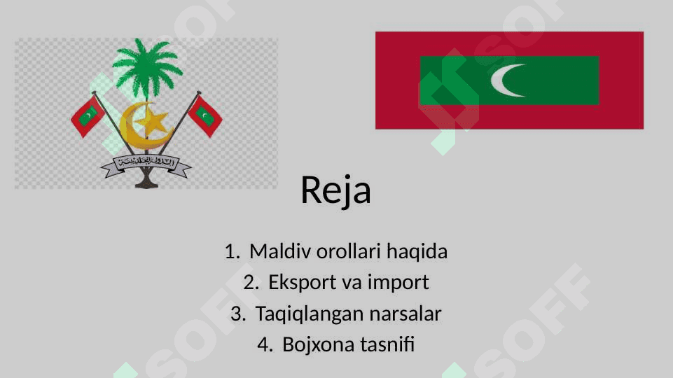 Maldiv orollari va uning bojxona siyosati 2