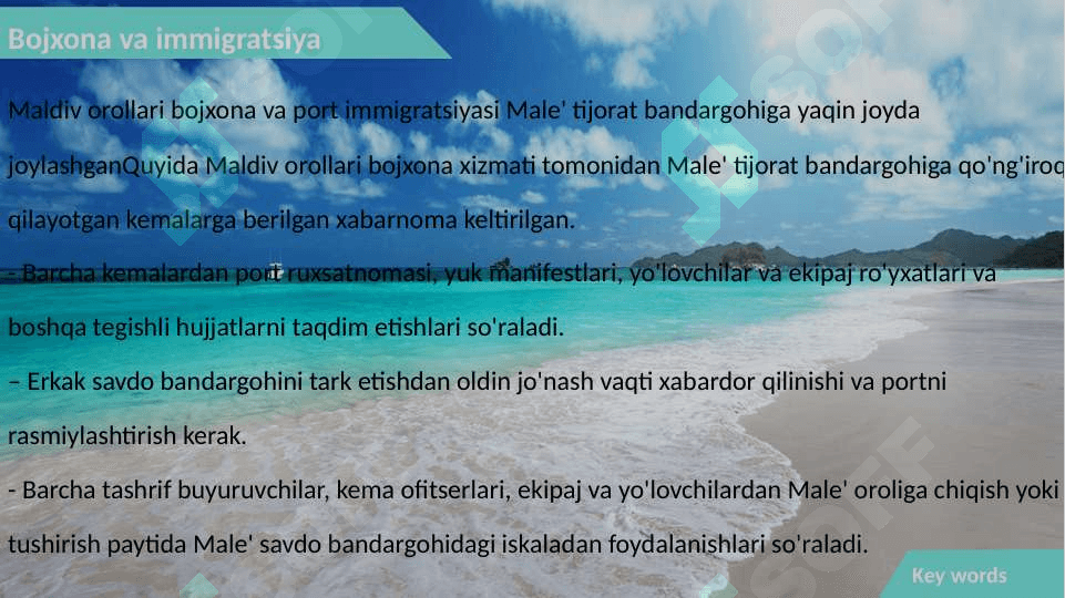 Maldiv orollari va uning bojxona siyosati 6