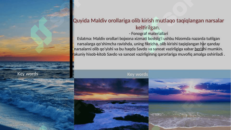 Maldiv orollari va uning bojxona siyosati 7