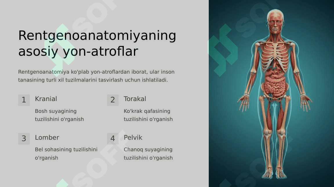 Rentgenoanatomiyada yangi texnologiyalar 4