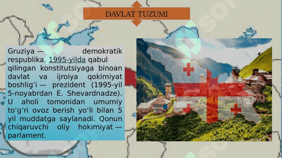 Gruziya bojxona siyosati 3