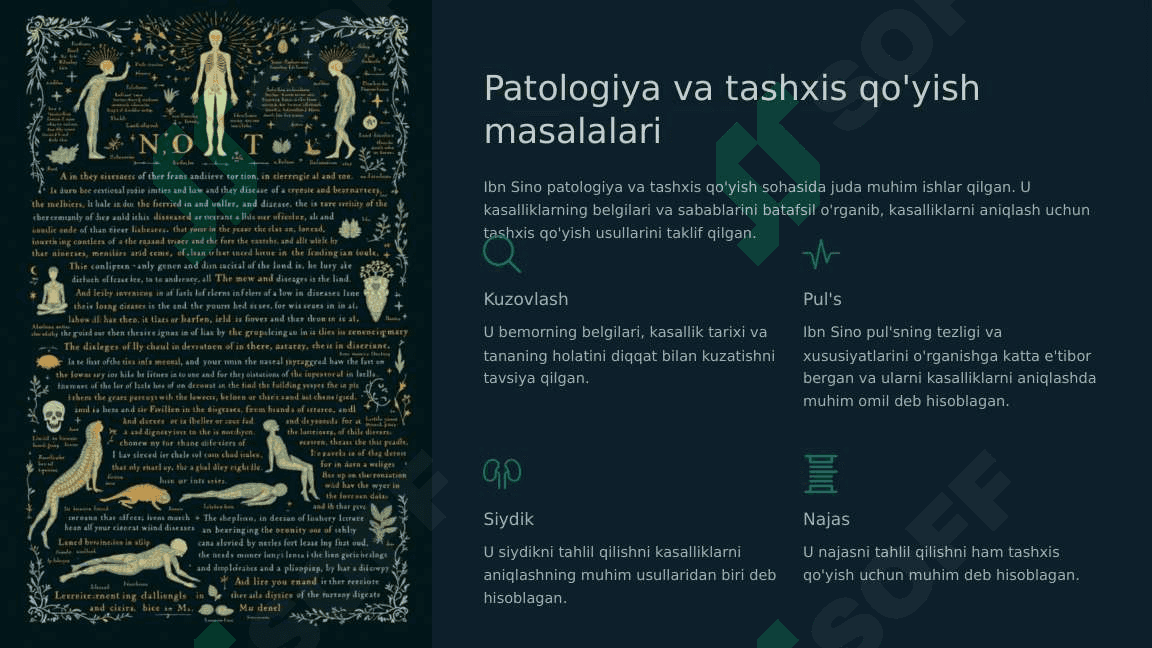 Abu Ali ibn Sino tibbiyot sohasiga qo'shgan hissasi 6