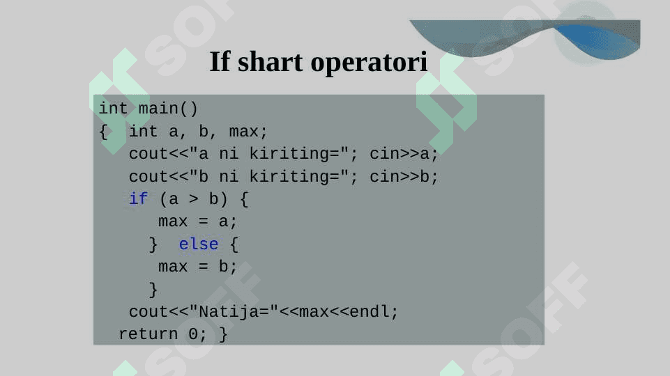 Tarmoqlanuvchi operatorlar. Tanlash operatori (switch). 4