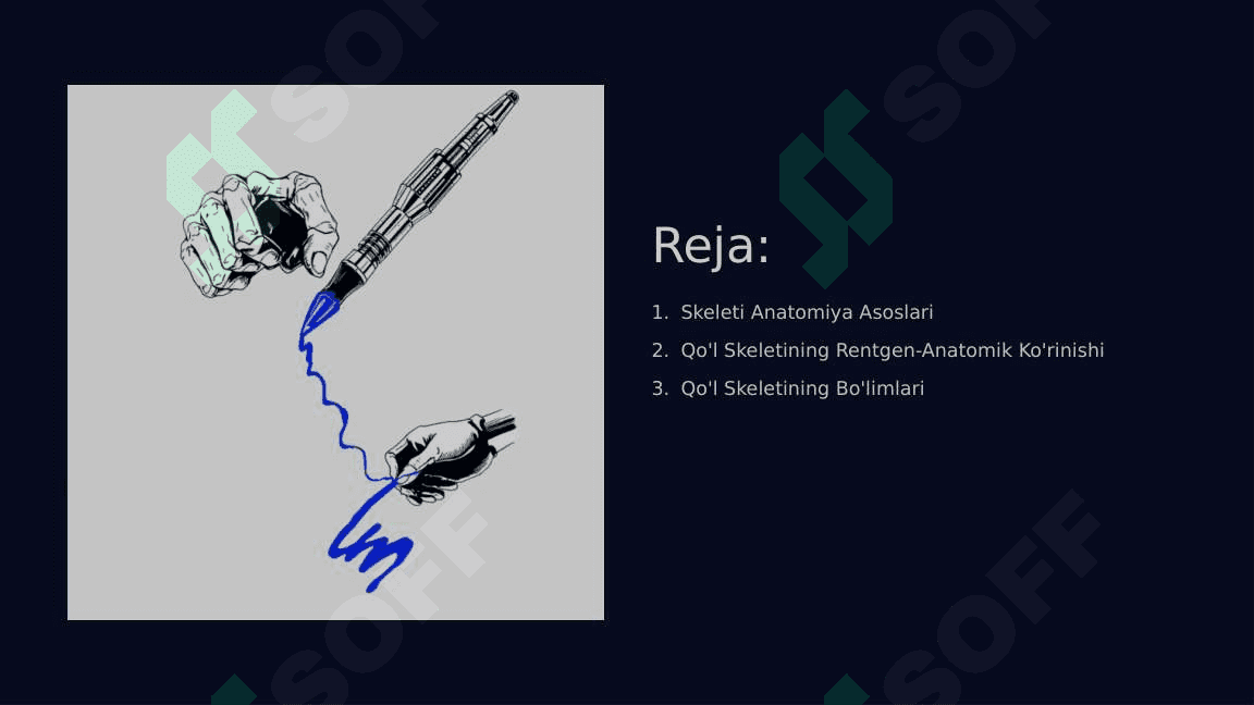 Qo'l, oyoq, Chanoq skeleti rentgenoanatomiyasi 2