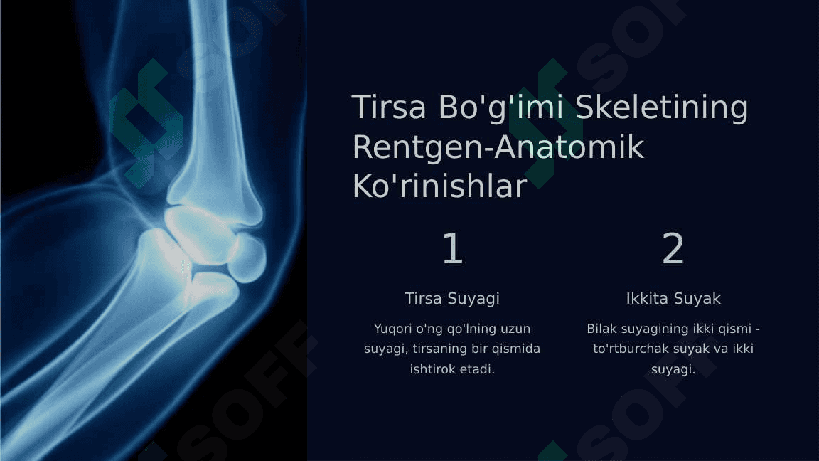 Qo'l, oyoq, Chanoq skeleti rentgenoanatomiyasi 7