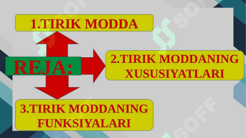 BIOSFERADAGI TIRIK MODDANING XUSUSIYATLARI VA FUNKSIYALARI 2