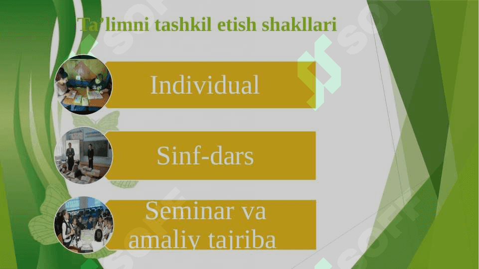 Ta’limni tashkil etish turlari va shakllari 4