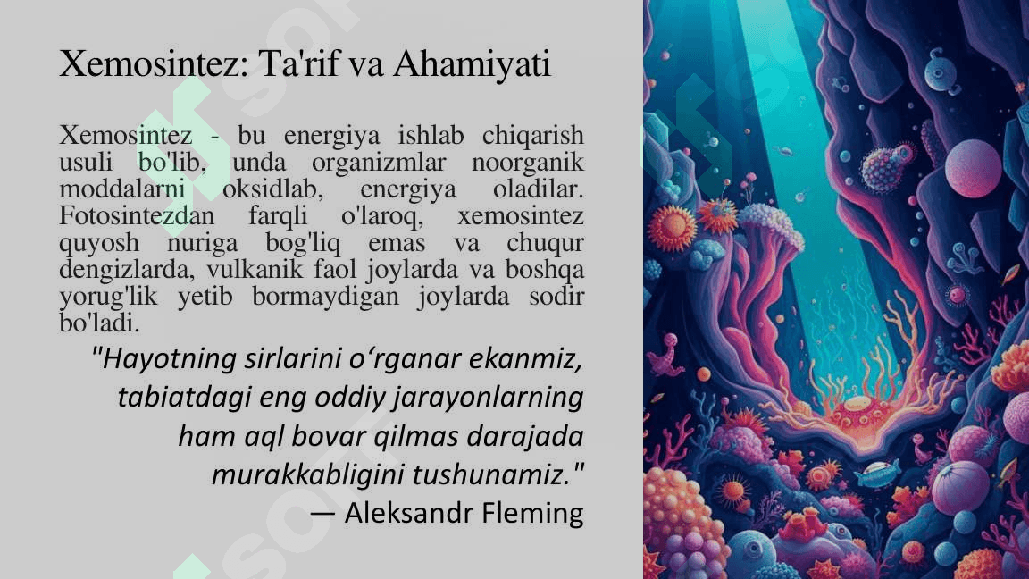 Xemosintez-Tarif-va-Ahamiyati 3