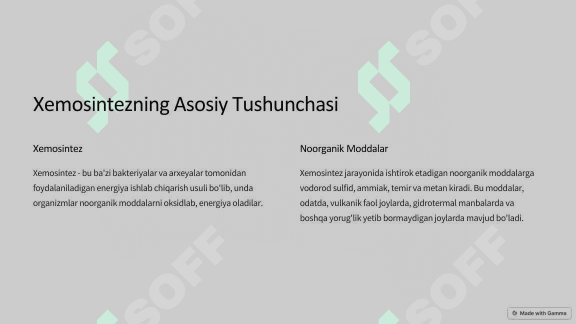 Xemosintez-Tarif-va-Ahamiyati 4